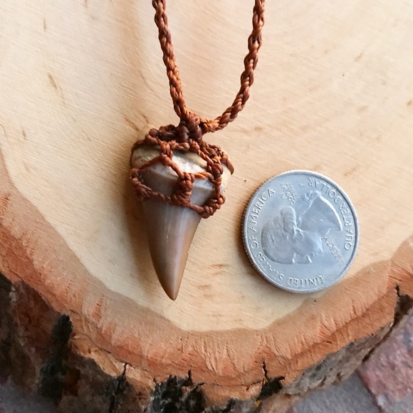 SOLD shark tooth light brown copper necklace - Picture 3 of 8